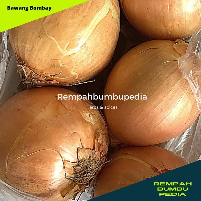 

Pilihan- Bawang Bombay New Zealand