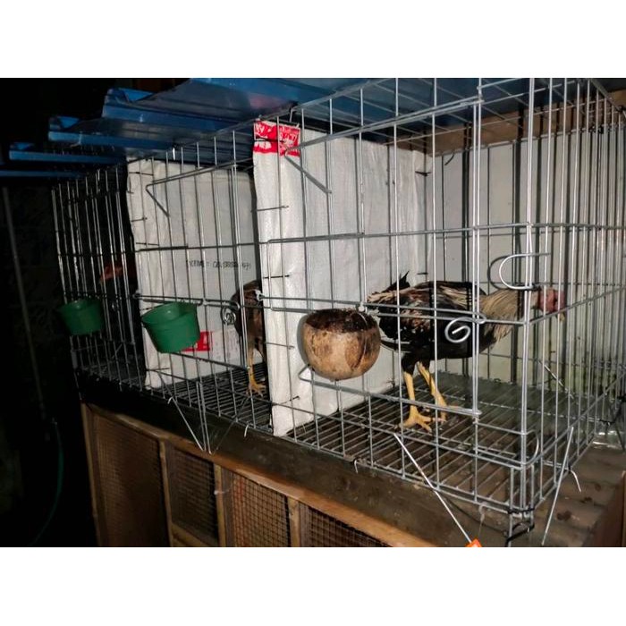 kandang ayam galvanis 3 pintu / kandang kurungan ayam jago/aduan/murah