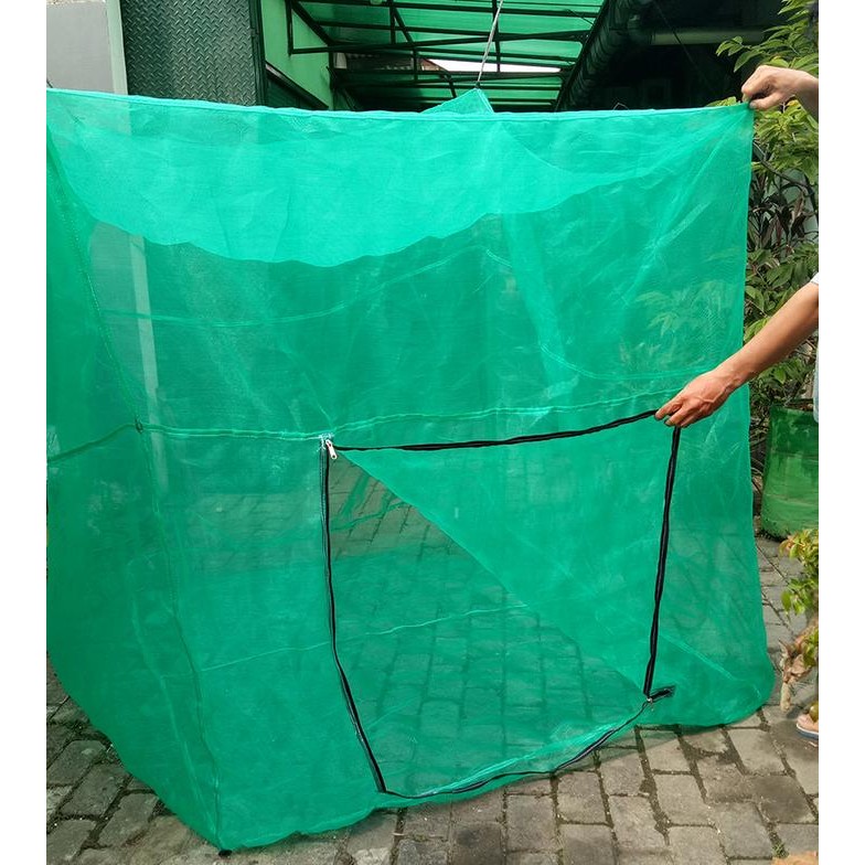 Kandang Magot Lalat BSF 2x1.5x2m