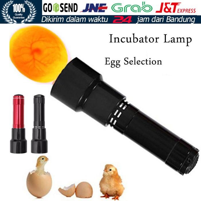 Pilihan- Lampu Senter Teropong Telur Inkubator Utk Telor Ayam Burung Kacer
