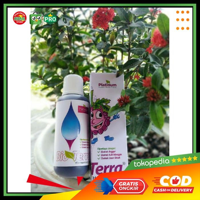 

Bioterra Platinum - Suplemen Herbal Probiotik Original Shopee Terlaris
