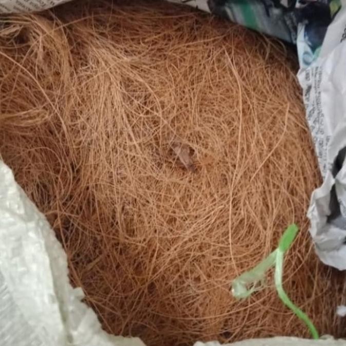 Cocofiber Sabut kelapa Karungan / Media Tanam Cocofiber