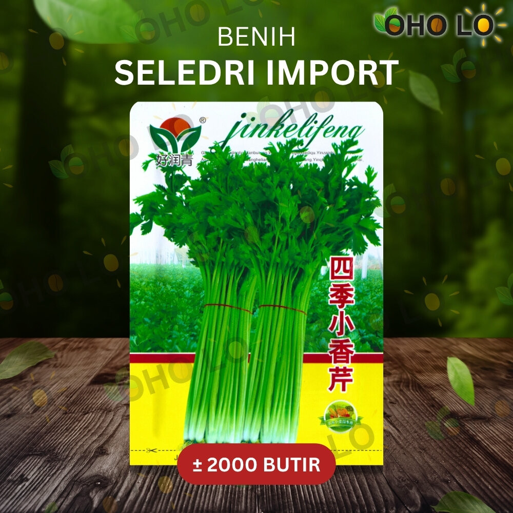 ± 2000 BUTIR BENIH SELEDRI IMPORT IMPORT KEMASAN ORIGINAL PABRIK