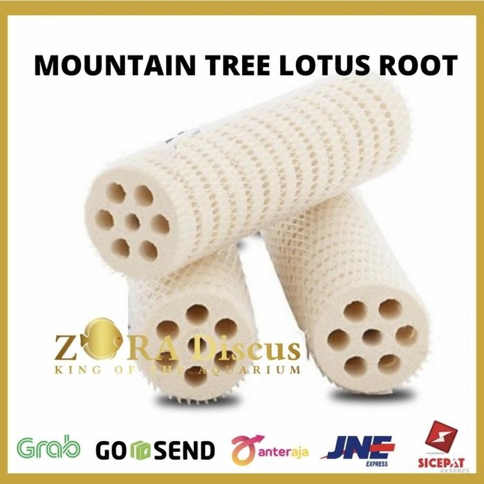 RUMAH BAKTERI IKAN MOUNTAIN TREE LOTUS ROOT MEDIA FILTER KECIL - BOX