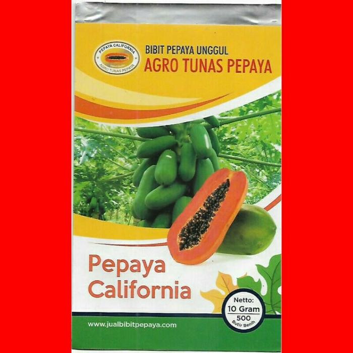 

Terbaru Bibit Pepaya California 10gr Isi 500 Biji Unggul