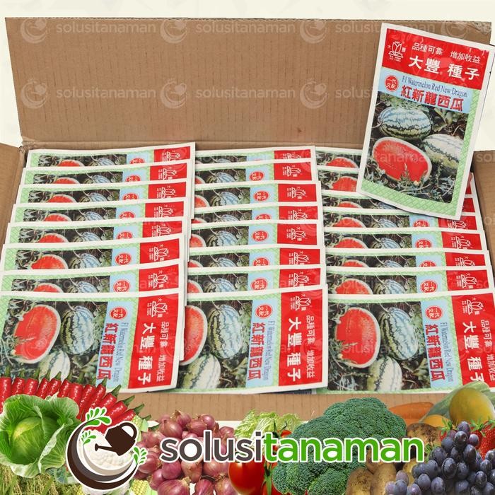 

Terbaru Benih Semangka Red New Dragon F1 20gr 400 Biji Bibit Semangka Unggul
