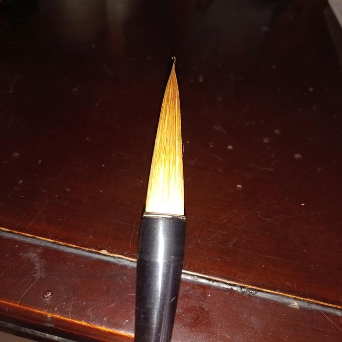 

Maobi Bulu Coklat Besar