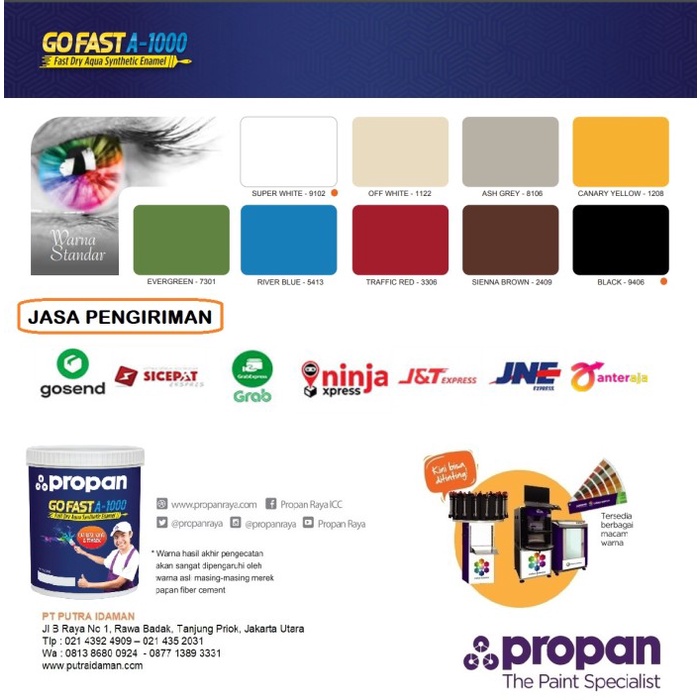 TERLARIS CAT KAYU BESI PROPAN GO FAST A-1000