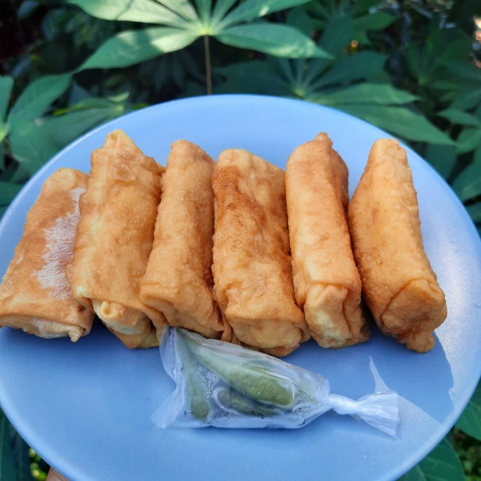 

RISOL CHICKEN MAYO LOW CARB KODE 770