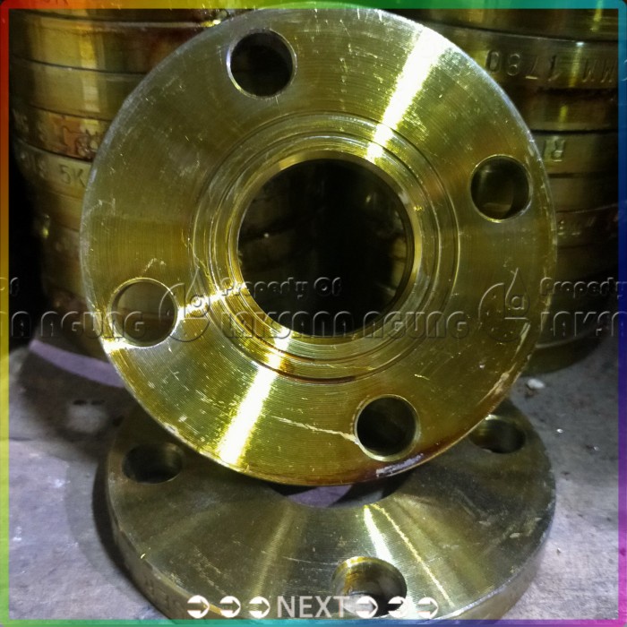 Paloma - Flange 4 Inch Jis 10K - Ns Flange Las Besi Ss400