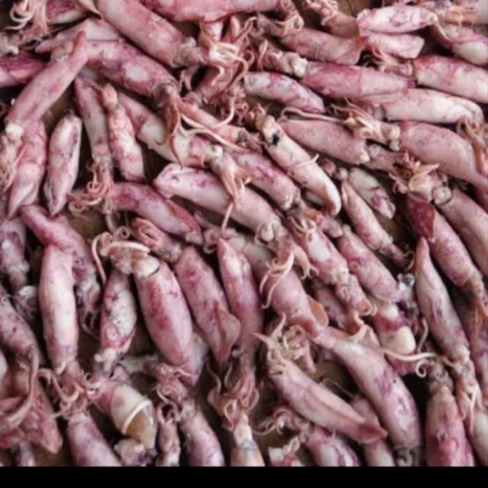 

CUMI ASIN 250 GRAM