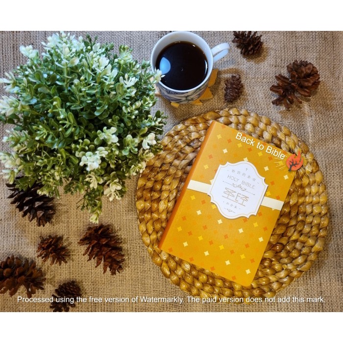 

Ready Alkitab Mandarin Chinese Soft Cover Holy Bible Gift