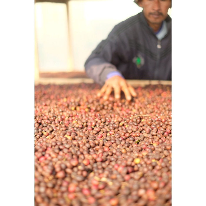 

Paket Manis natural ses ( Kopi Pak Jarwo Dan Kopi Malino) Termurah