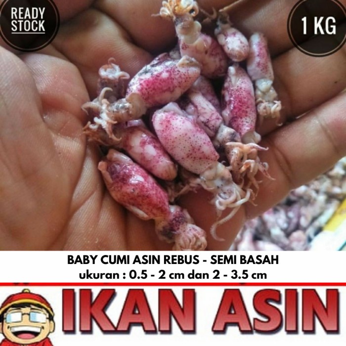

Wdo - Baby Cumi Asin Basah 1 Kg