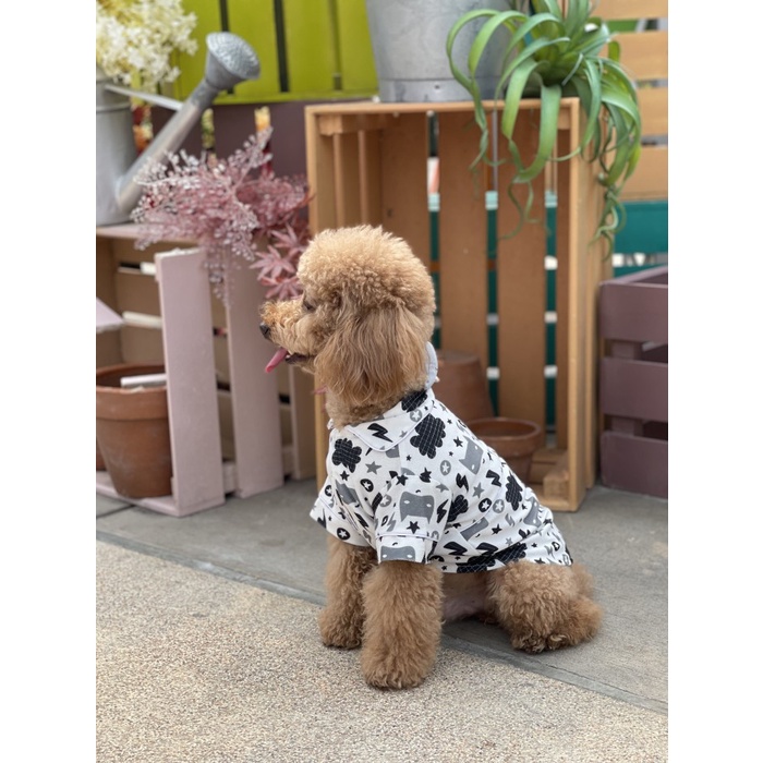 baju anjing poodle pawpawsome projects black ad white printing