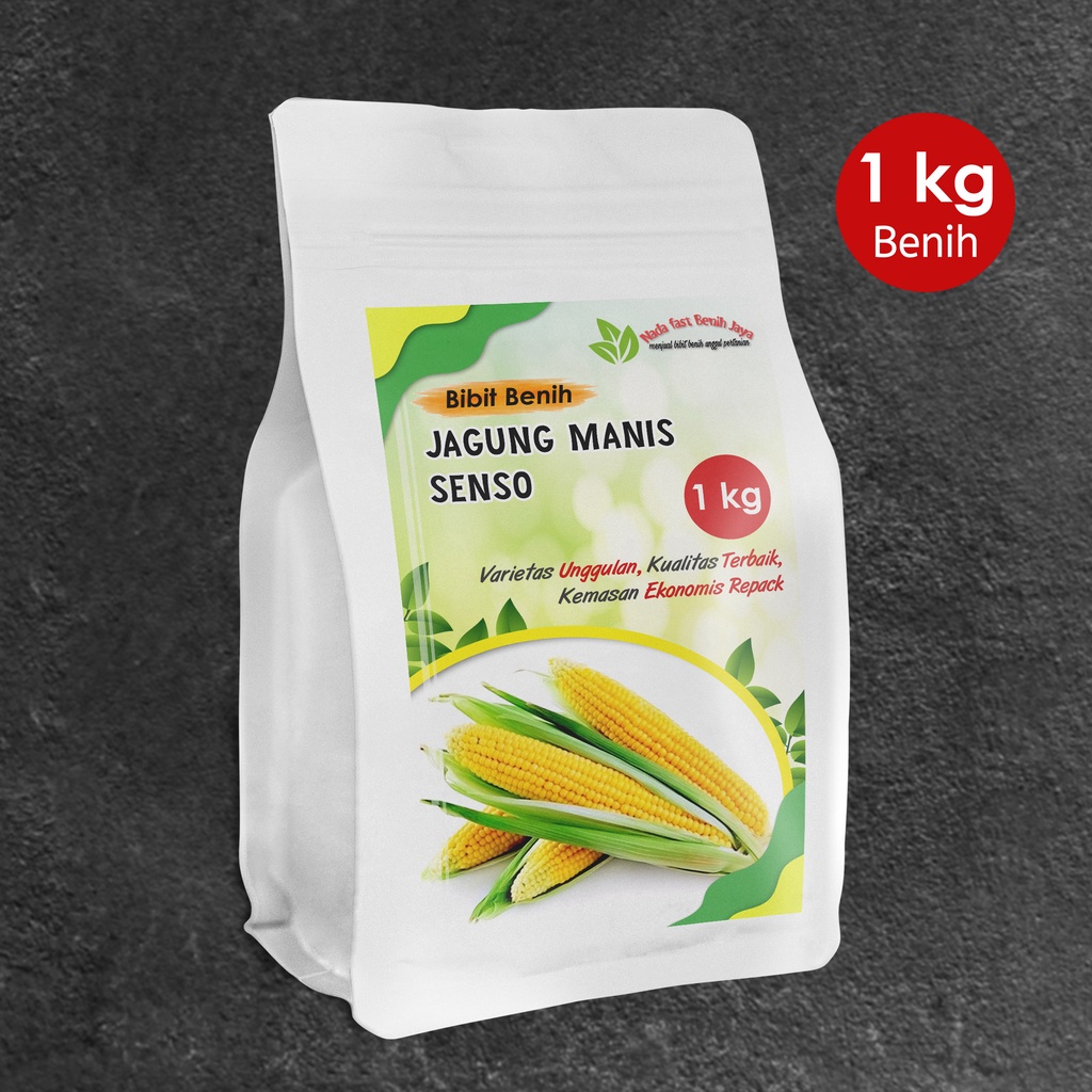 1 Kg Benih Jagung Manis Senso Super / Bibit Jagung Manis Terlaris