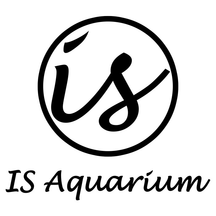 Jebo P-50 Air pump pompa udara Silent Aerator High Blow Jebo P50