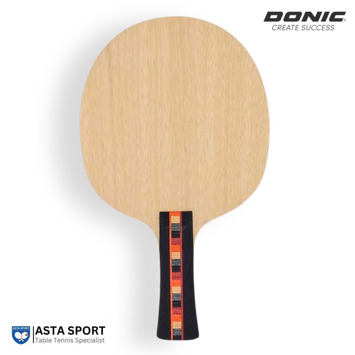 bat pingpong Donic Waldner Senso Carbon / Bet Tenis Meja