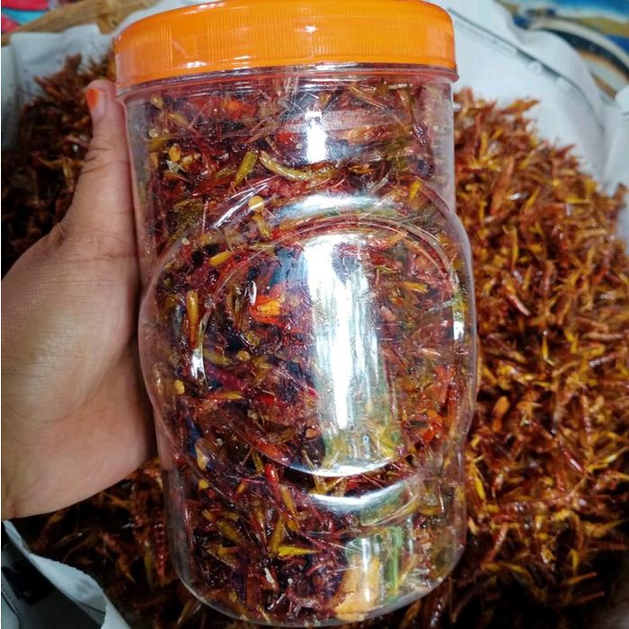 

terbaru !!! belalang goreng kecil toples sosis jumbo pedas ready