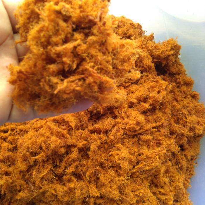 

BARANG TERLARIS abon ayam original 1kg