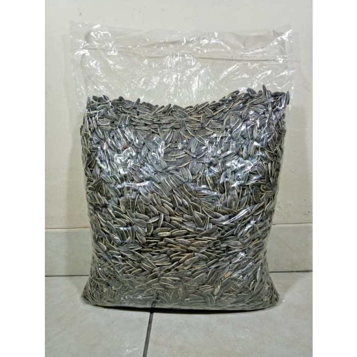 

BARANG TERLARIS Kwaci kuaci bunga matahari JUMBO Rasa Susu 2,5kg