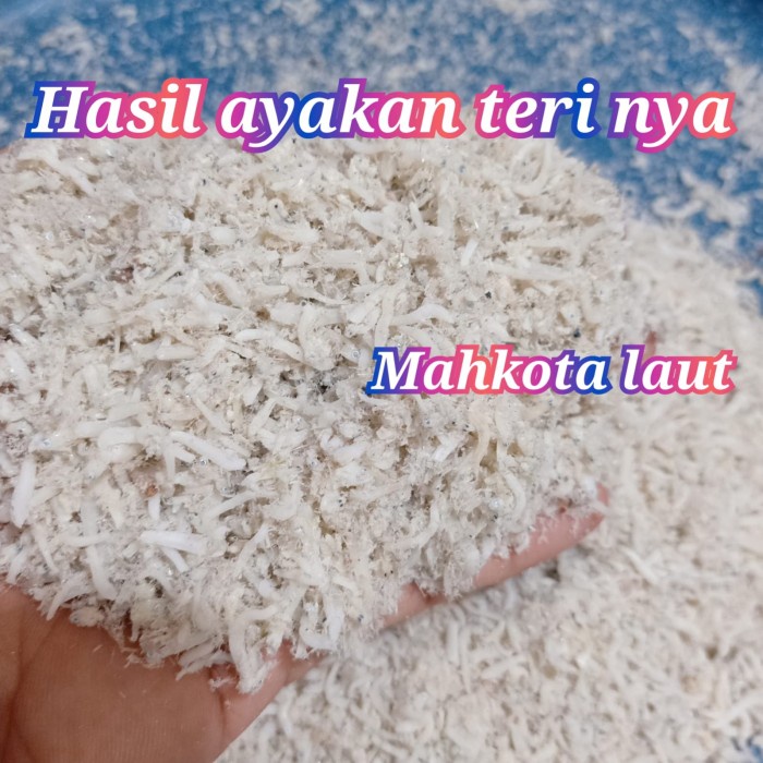 

BARANG TERLARIS ikan asin teri medan/teri nasi toge asli kualitas super- 500 gram