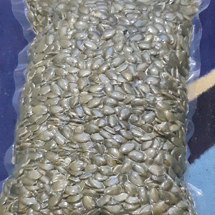 

BARANG TERLARIS pumpkin seed 1kg