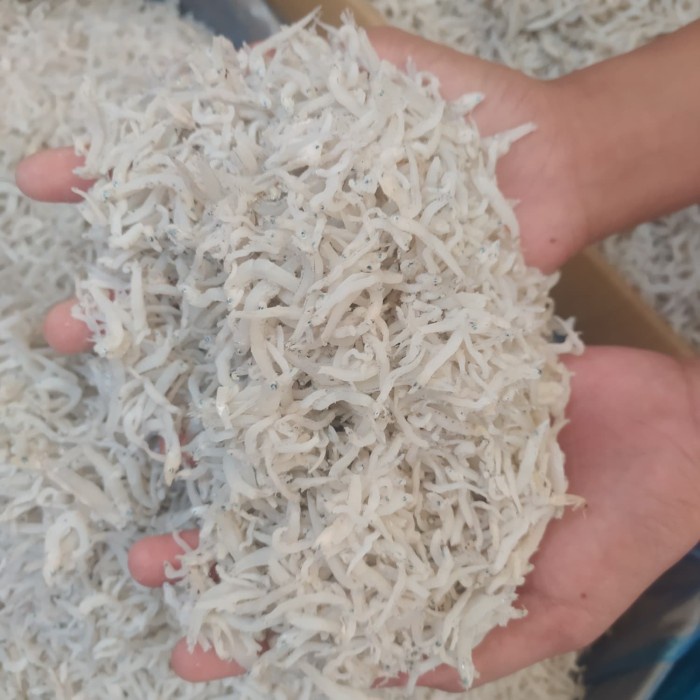 

ikan asin teri nasi medan size:kecil-1kg