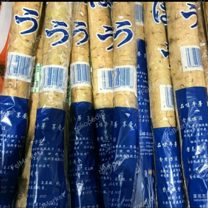 

akar gobo burdock ketela jepang burdock root pcs
