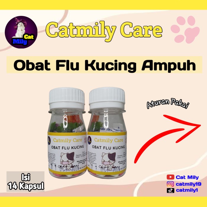 Obat Flu Kucing Ampuh
