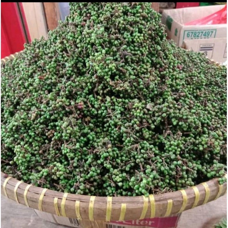 

Andaliman Khas Sumut Toba Batak Segar 50gr Addaliman