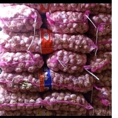 

bawang putih kating 500gram