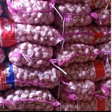 

bawang putih kating bersih 1kg