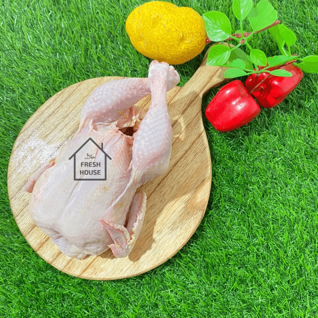 

AYAM UTUH / AYAM KARKAS 1 EKOR