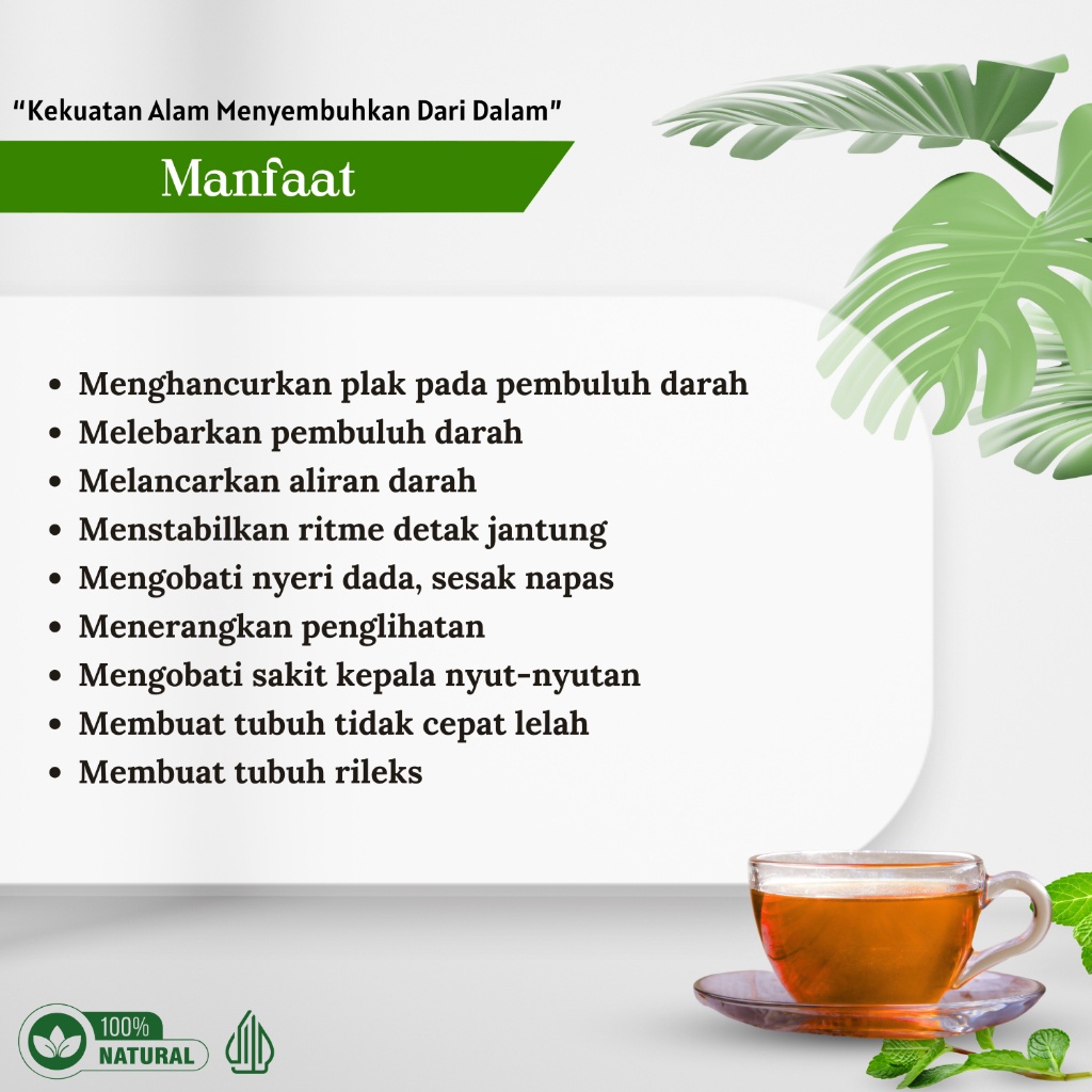 

Teh Celup Daun Seledri Obat Darah Tinggi Hipertensi Pembuluh Darah Serangan Jantung Dada Berdebar