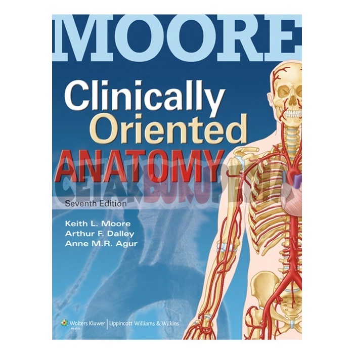 Buku English Oriented Anatomy Keith Moore Moore'S Clinically