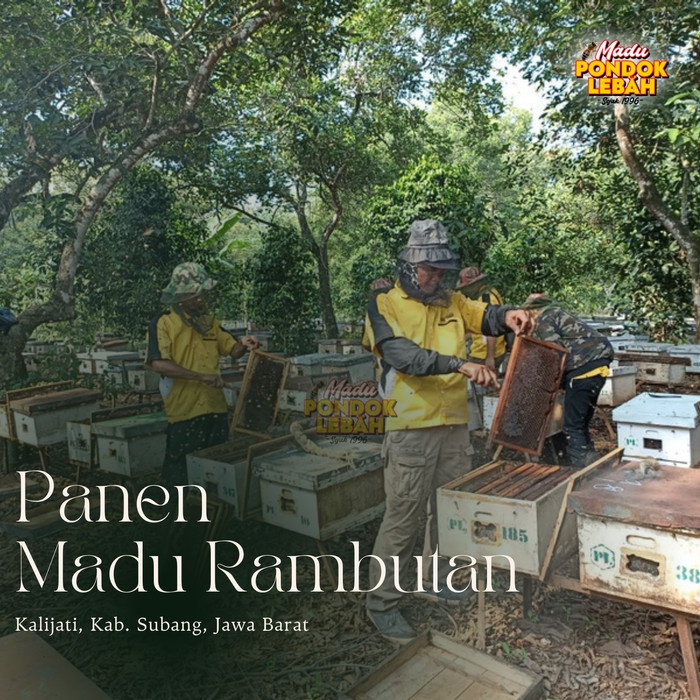 

BARANG TERLARIS Madu Rambutan 600 ml - MADU PONDOK LEBAH
