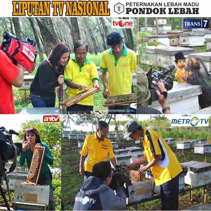 

BARANG TERLARIS Beepollen Halus 1 Kg PONDOK LEBAH