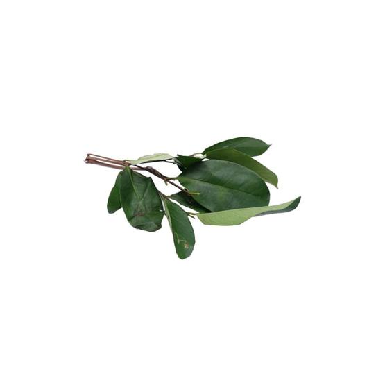 

Daun Salam - 100 Gram (Bibik Sayur)