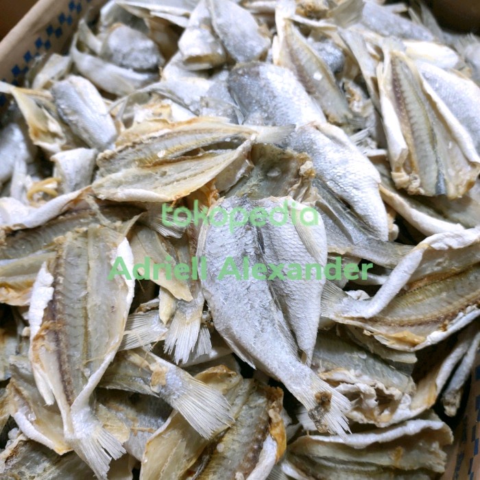 

SALE !!! IKAN ASIN KEPALA BATU BABY BELAH TANPA KEPALA 500GRAM READYY