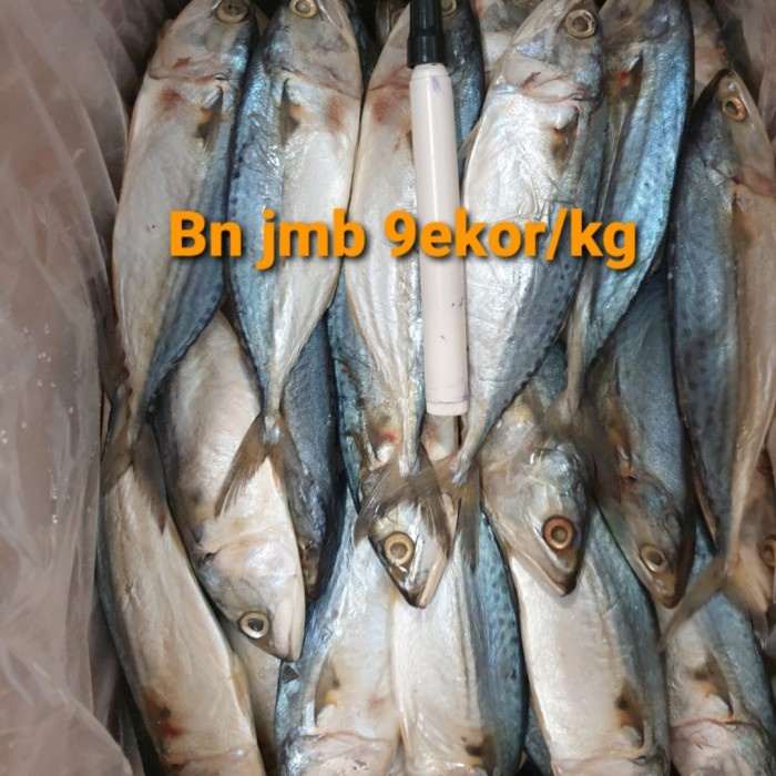

SALE !!! IKAN ASIN PEDA PUTIH 1 KG 8 EKOR FRESH. READYY