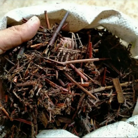 ADT- media tanam pakis andam /andaman 1 karung beras 20 kg