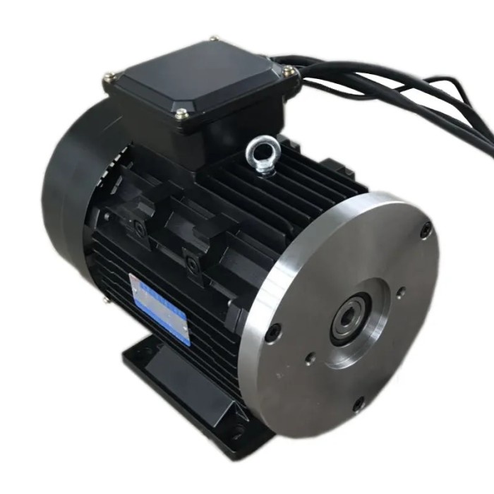 ELECTRIC BLDC MOTOR 24V 36V 48V 60V 1500RPM 3000RPM 1000W 2KW 3KW 5KW