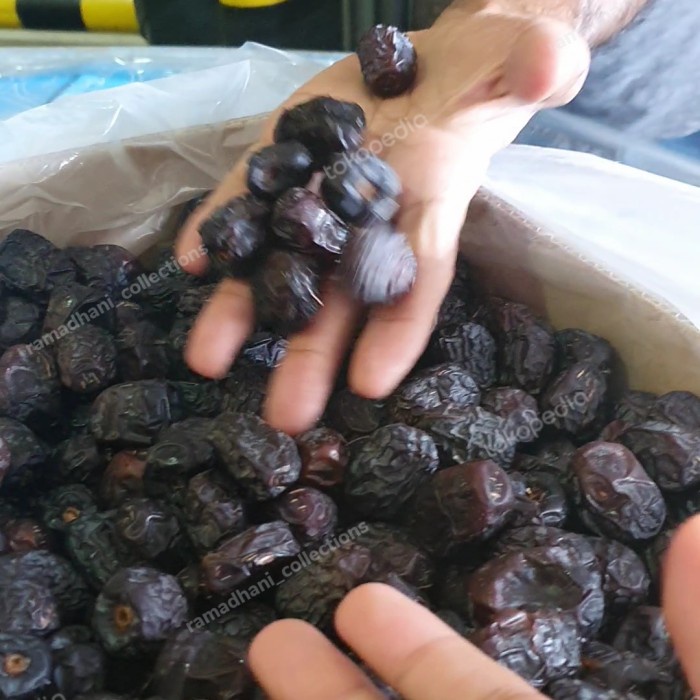 

HJK Kurma Ajwa Premium King Sultan