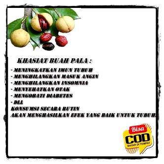 

HJK buah pala mentah 1.kg + langsung petik di pohon + rempah rempah Asam