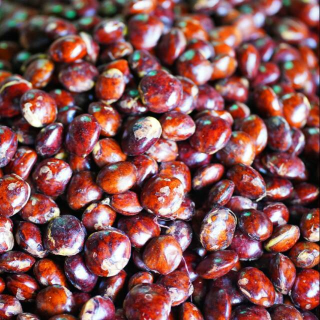 

Jengkol Super 500 gr