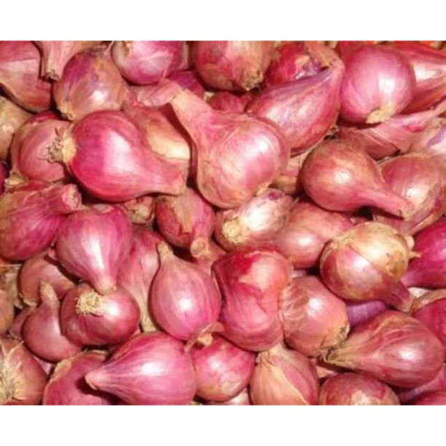 

BAWANG MERAH BREBES SUPER