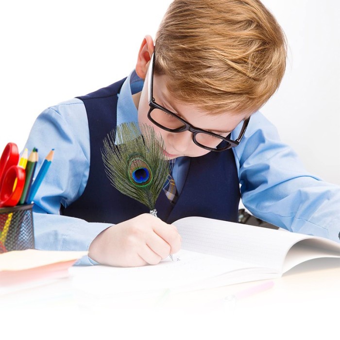 

PULPEN BULU STAINLESS VINTAGE RETRO PENA BULU SET LENGKAP