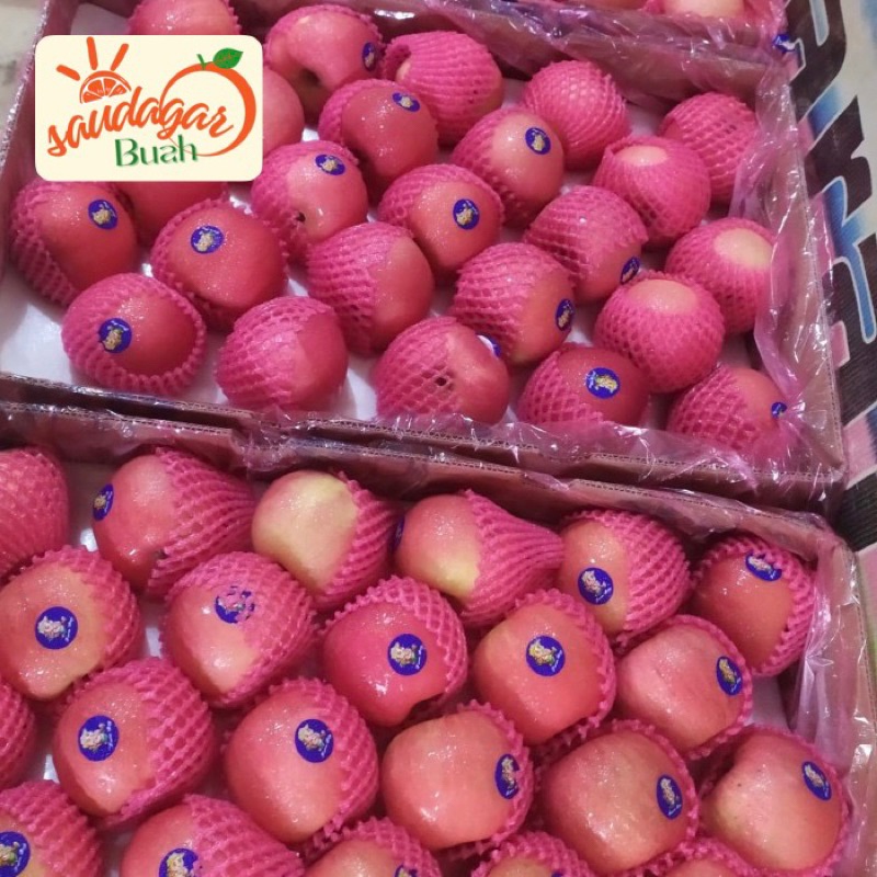 

BUAH APEL FUJI RRC MANIS UNTUK JUS 1KG
