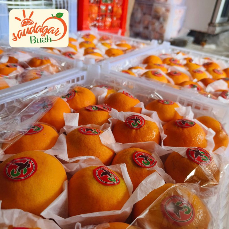 

BUAH JERUK MANDARIN WOGAN / MANDARIN WOKAM MANIS